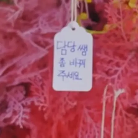 StumpyBleed5565의 담당쌤좀 바꿔주세요