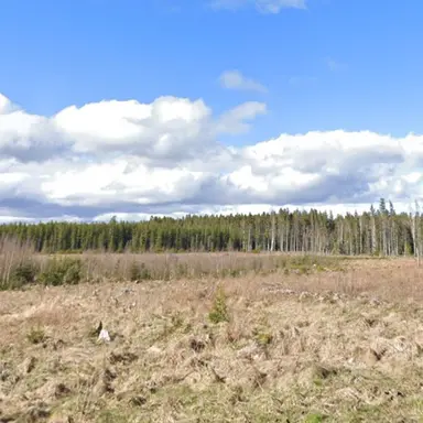 Profile image of 코요 템페스트