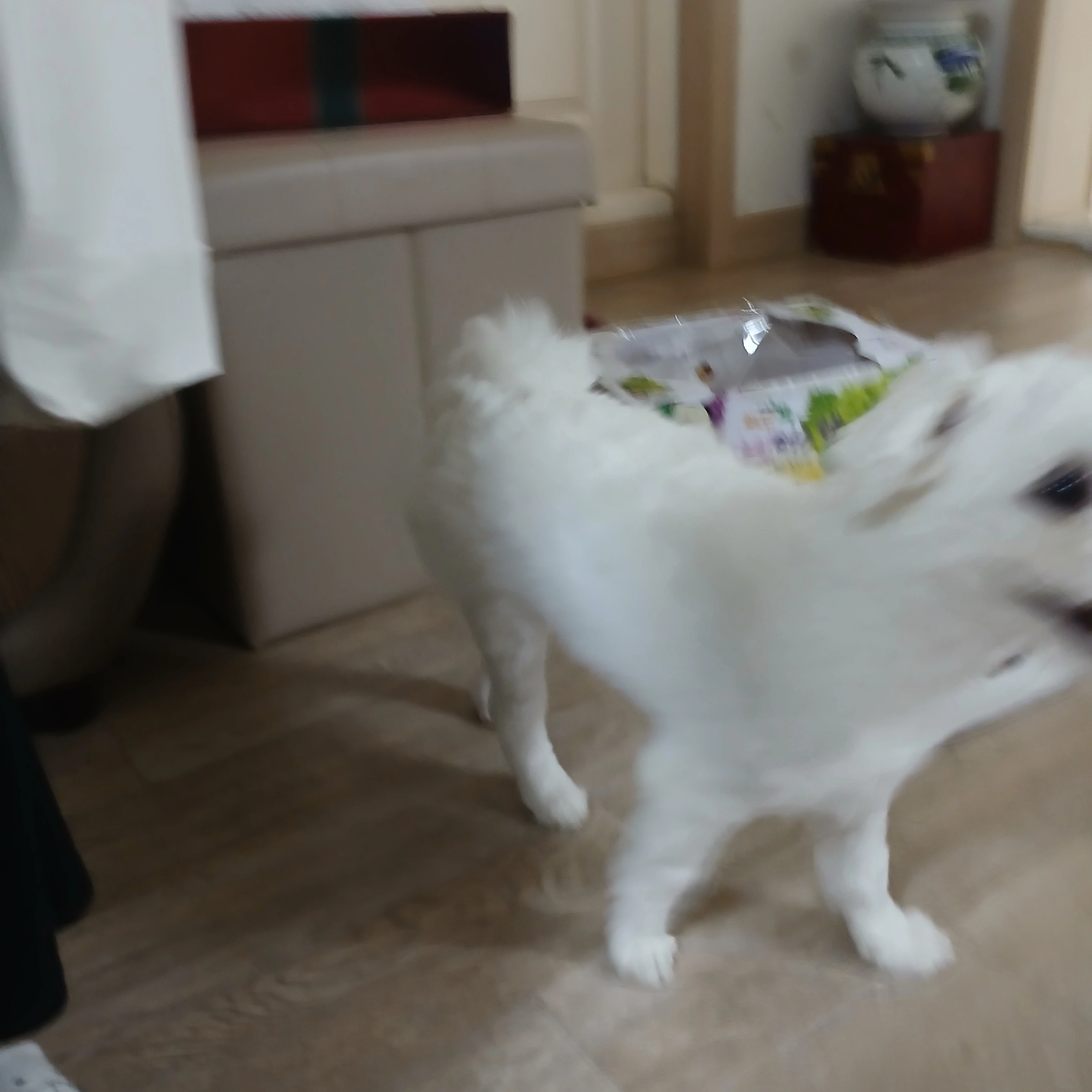 수현