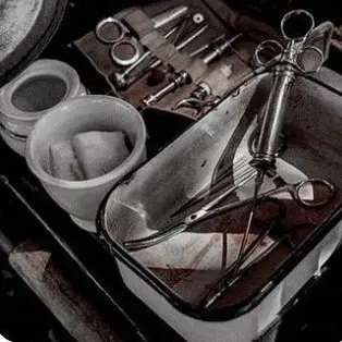 Profile image of 시온