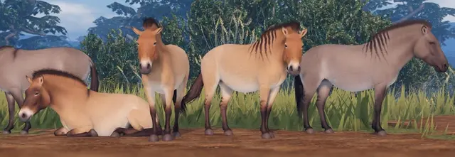 Profile image of Western Horse