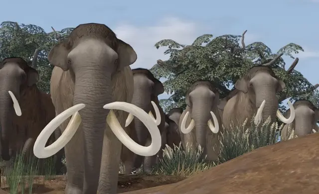 Profile image of Columbian Mammoth