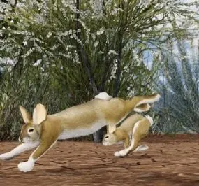 Profile image of Brush Rabbit