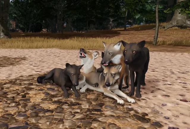Profile image of Dire Wolf