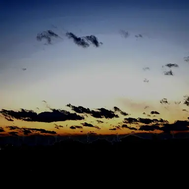 Profile image of 라더