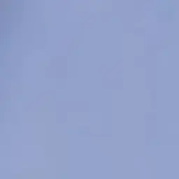 Profile image of 조우안신