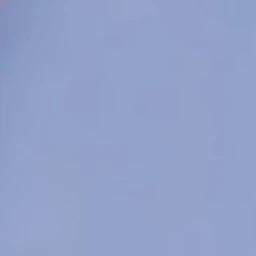 조우안신