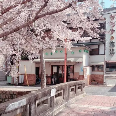 Profile image of 美咲