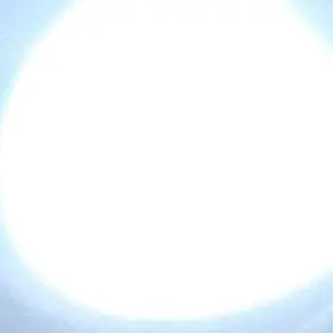 123-73의 보넥도에 새로들어온 멤버 막내