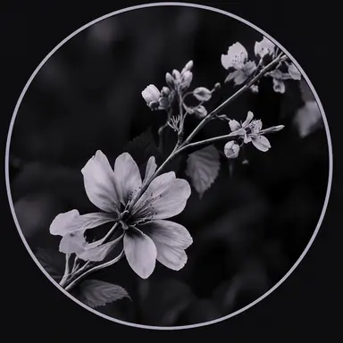 Profile image of 名無し