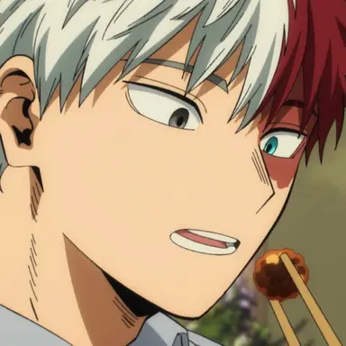 Profile image of Shoto Todoroki