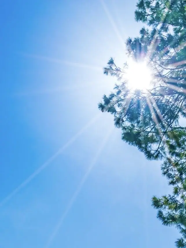 padaemon의 カゲロウデイズ