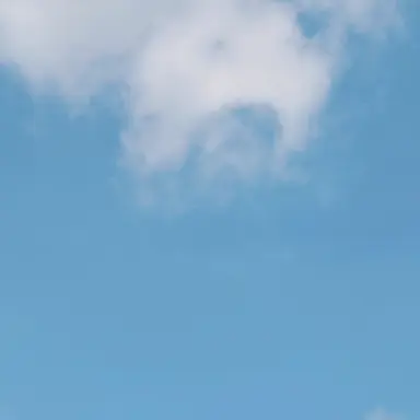 Profile image of 고고프렌즈