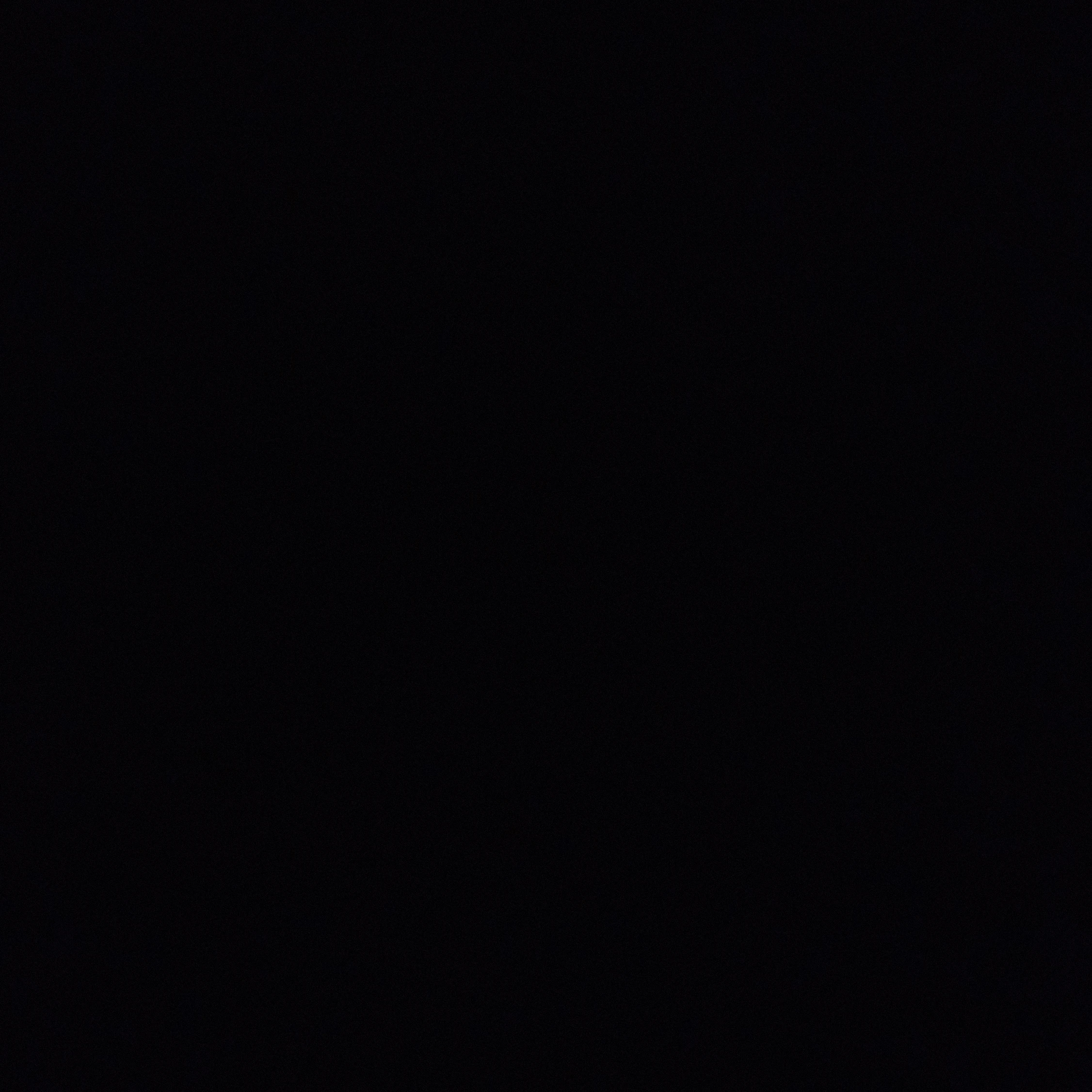 양정인