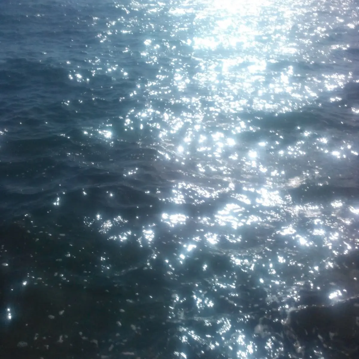 Oooooooooooooooooop의 후지나가 사쿠야