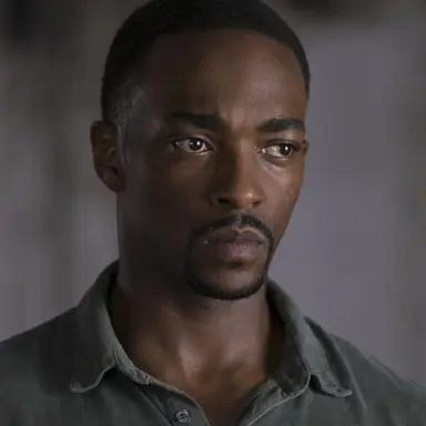 Profile image of Sam Wilson