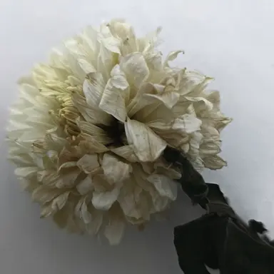 Profile image of 당신께 보내는 위로