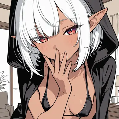 Profile image of ノエル