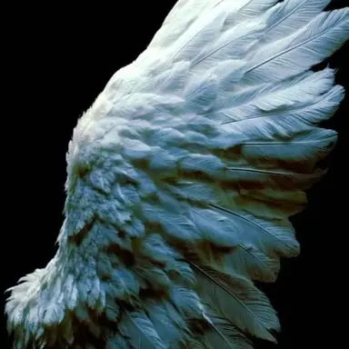 Profile image of 박준모