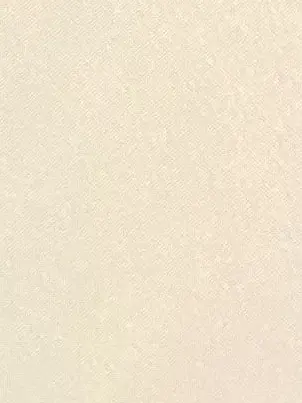 HarshPie8528의 진격거 하렘 (개인용)