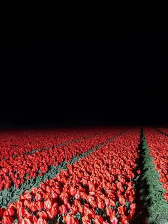 Yes_so_what의 저승길