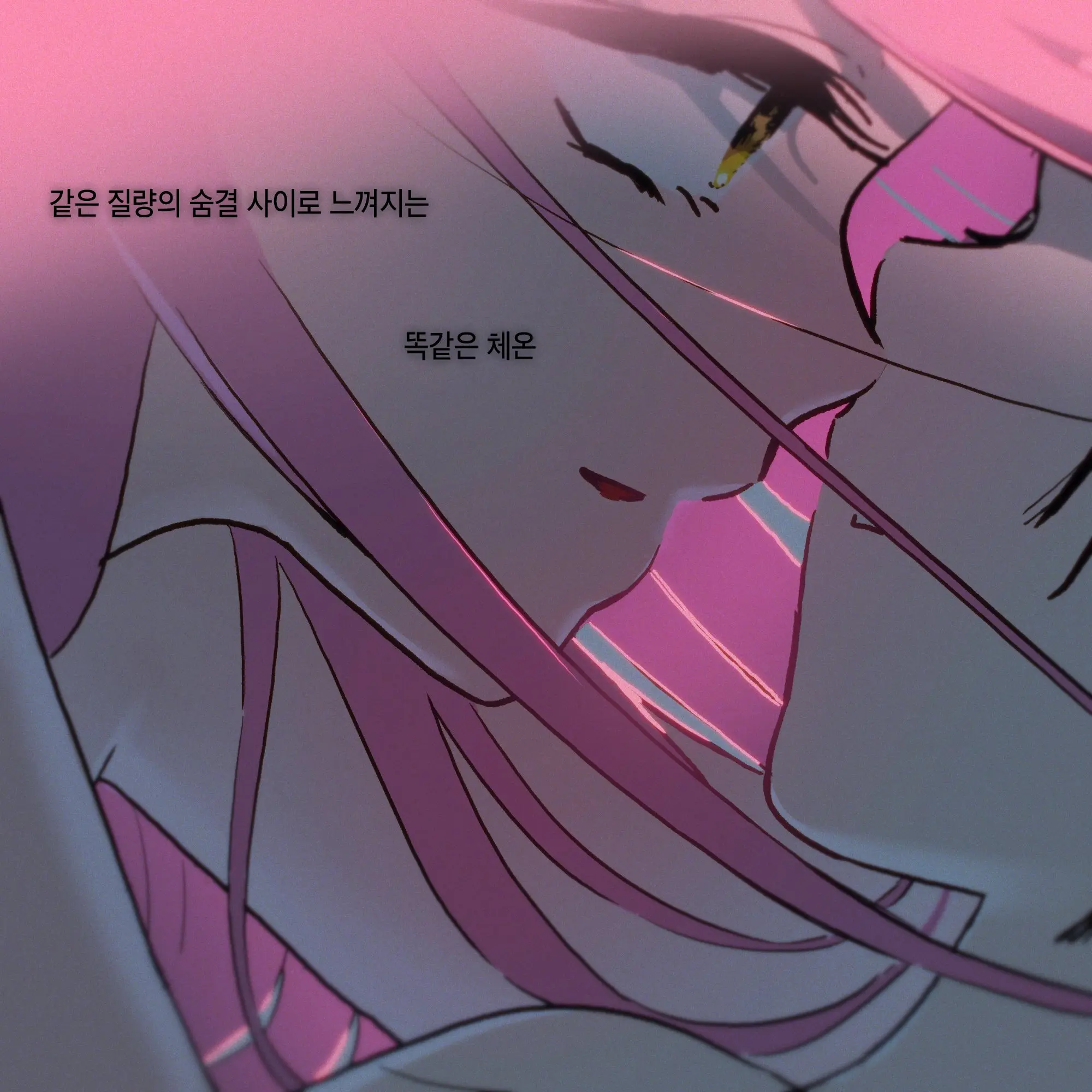 TI.MS의 미지