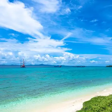 Profile image of ラディッツ