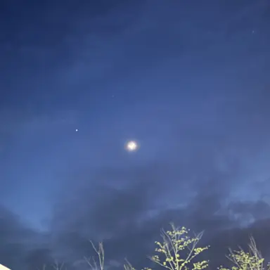 Profile image of 한유진