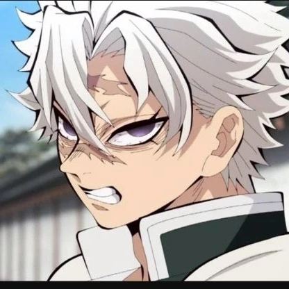 시나즈가와 사네미