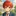 普通のクラスメイトだったのに…