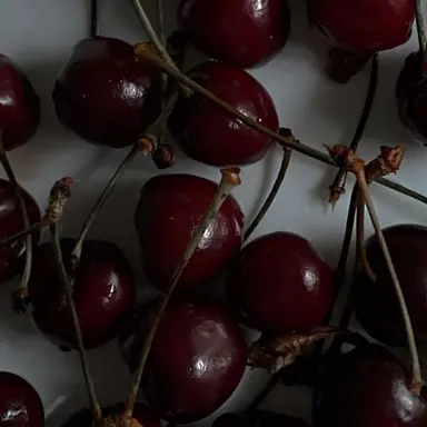 Profile image of 퀸톨