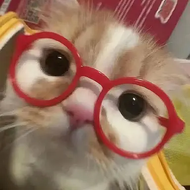 Profile image of 동희