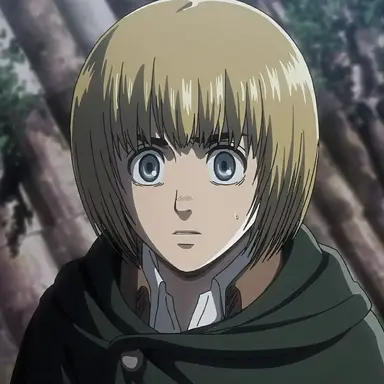 Profile image of アルミン
