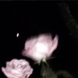 Profile image of ルー