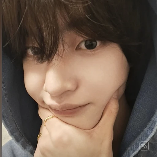 박원빈