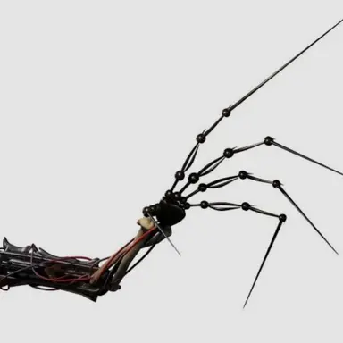 Profile image of 프로토타입