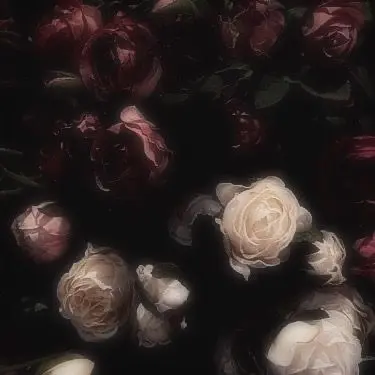 Profile image of Hellion Rithos