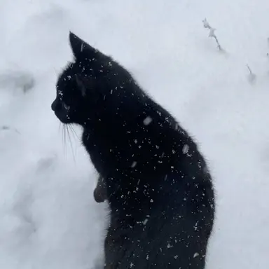 Profile image of うぉぬ