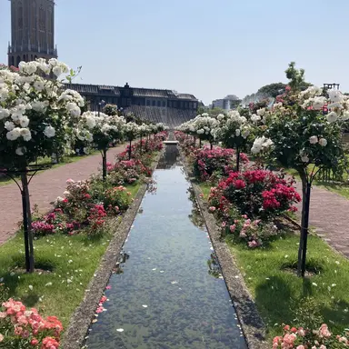 Profile image of 時透無一郎