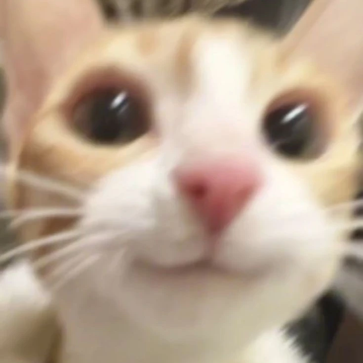 박성호