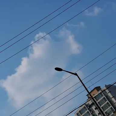 Profile image of 제벌1세