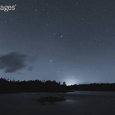 Profile image of 늑대