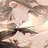 ユリ