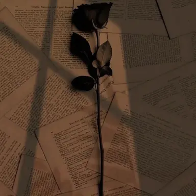 Profile image of 최승현