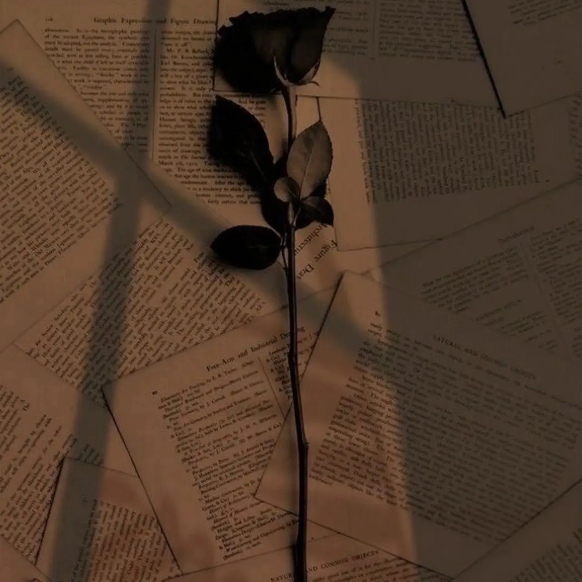 WindyLaser2305의 최승현