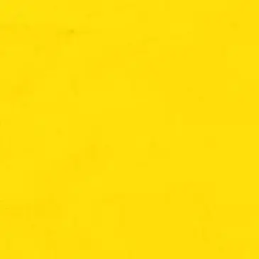 Profile image of 岩本照