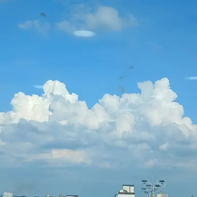 Profile image of 쵸코