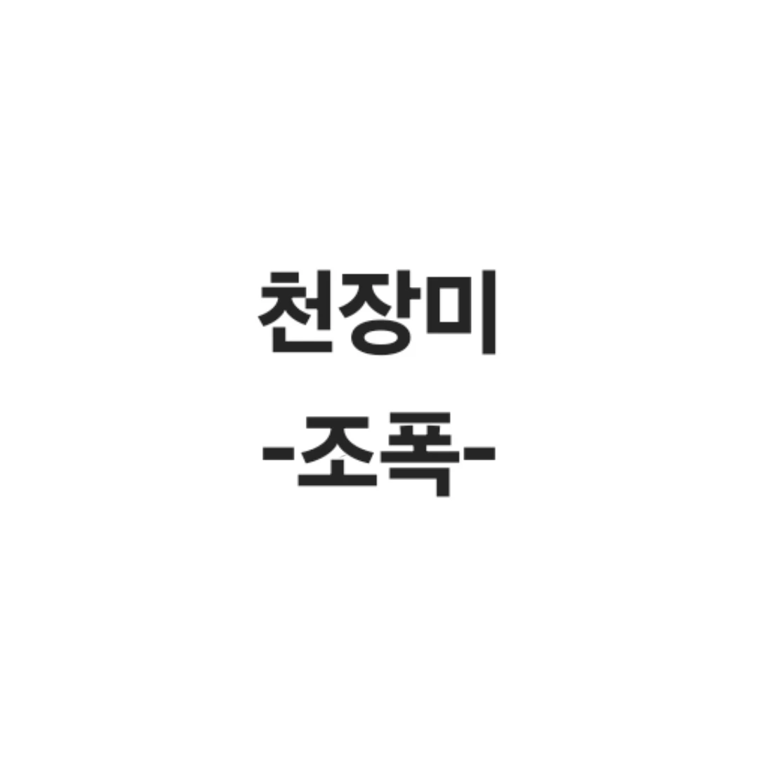 천장미