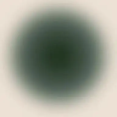 Profile image of リモーネ先生