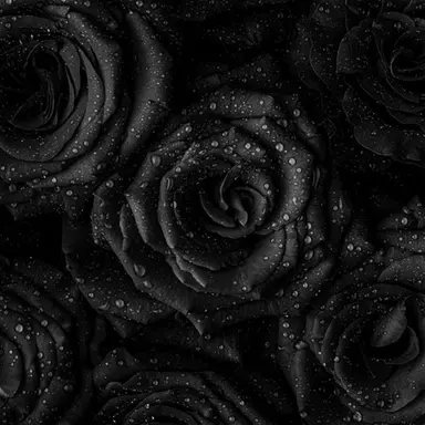 Profile image of 여선우